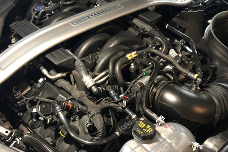 Photo - Mounted